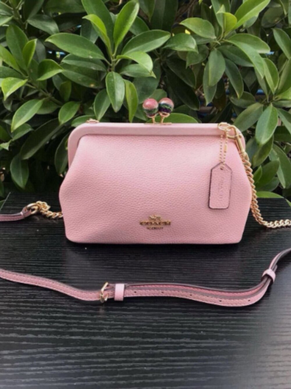 Coach Nora Kisslock Crossbody Special Button Handbag